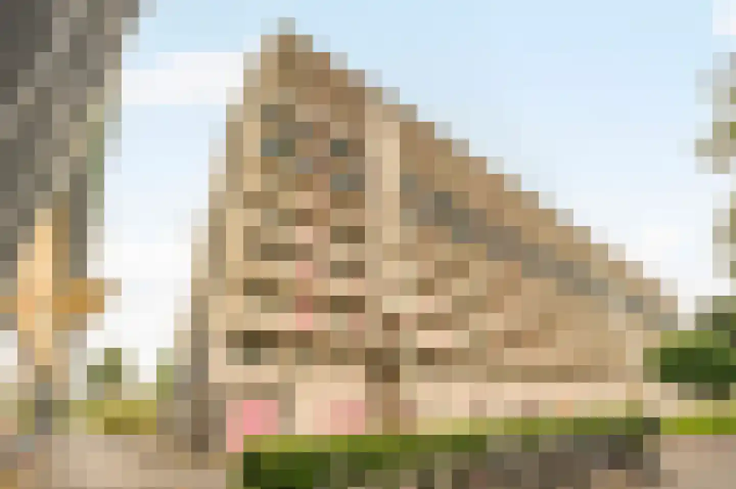 Hogevecht 123 Amsterdam thumbnail 37