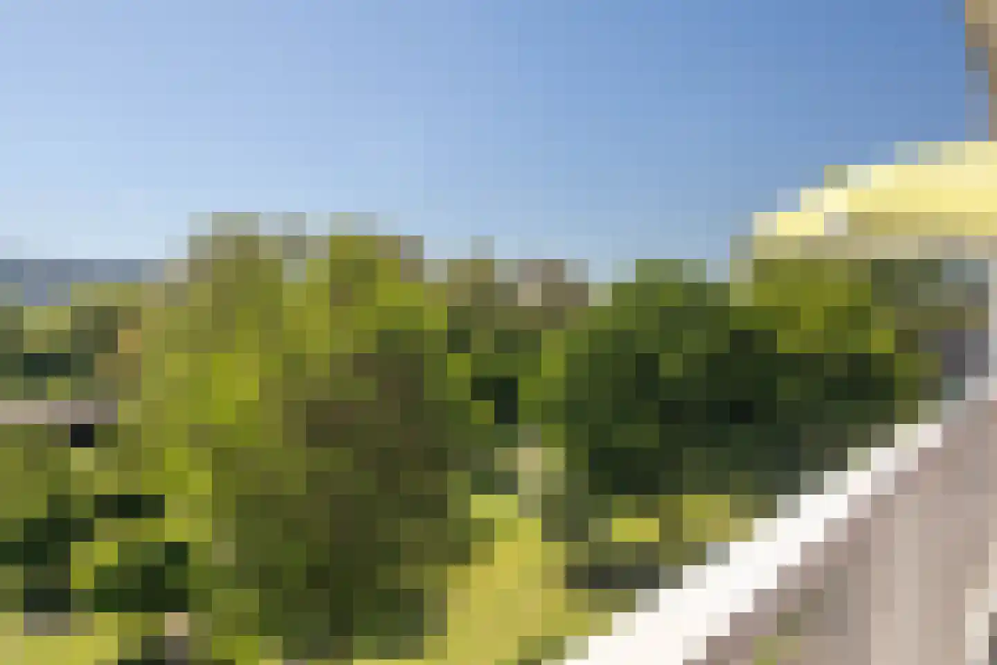 Hogevecht 14 Amsterdam thumbnail 11