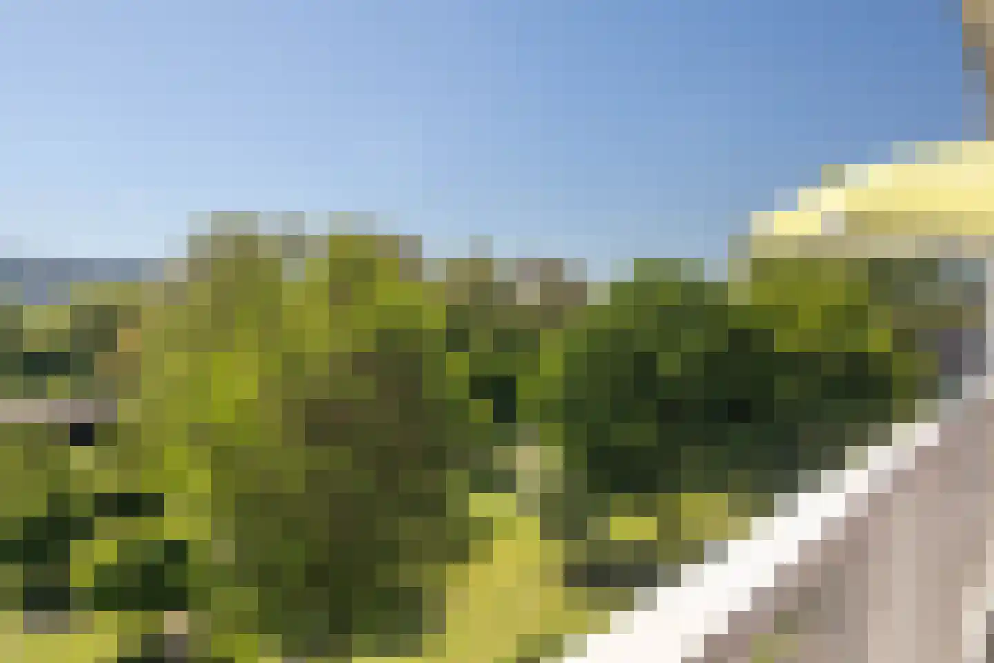 Hogevecht 14 Amsterdam thumbnail 11