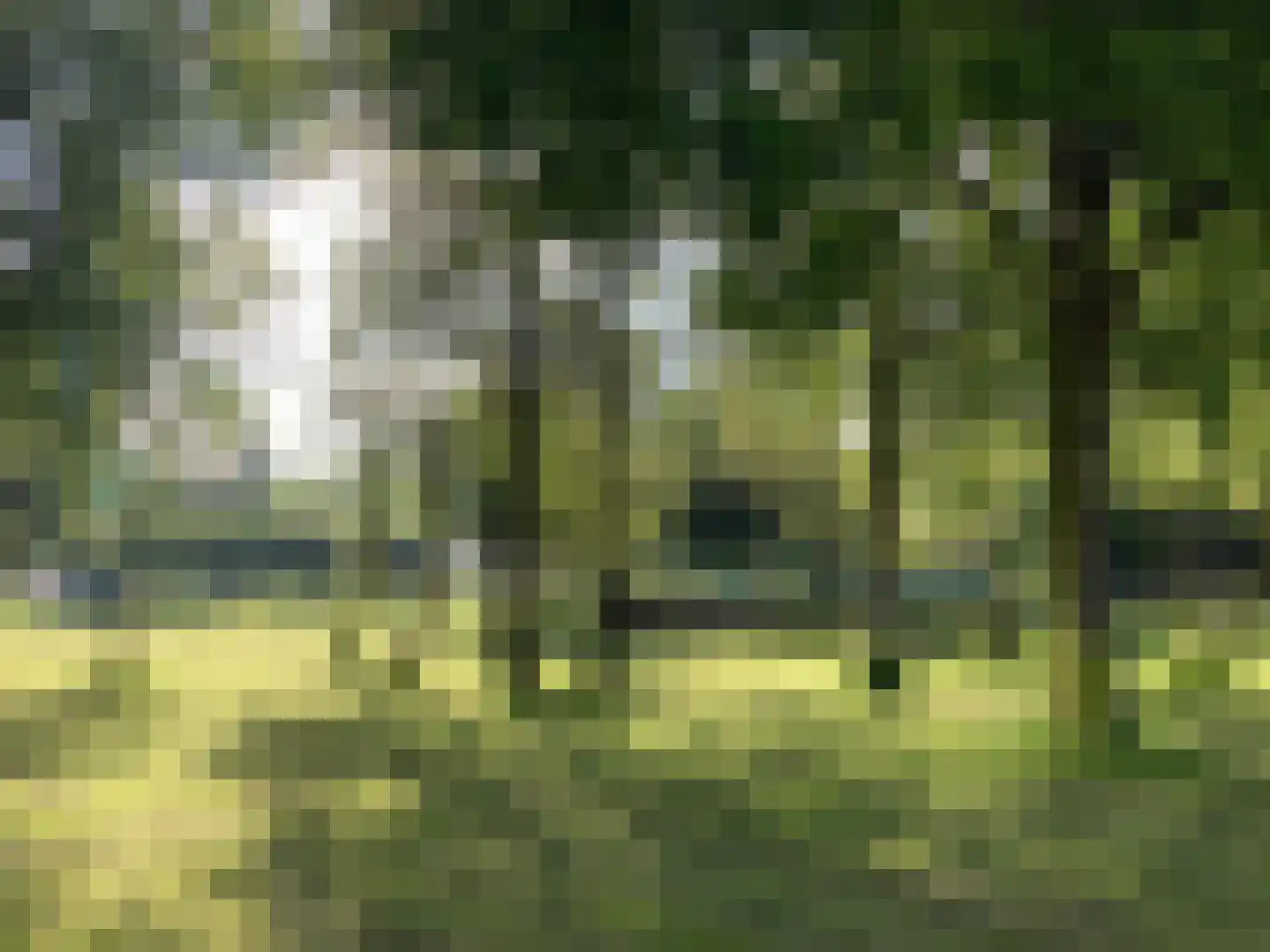 Hogevecht 14 Amsterdam thumbnail 35