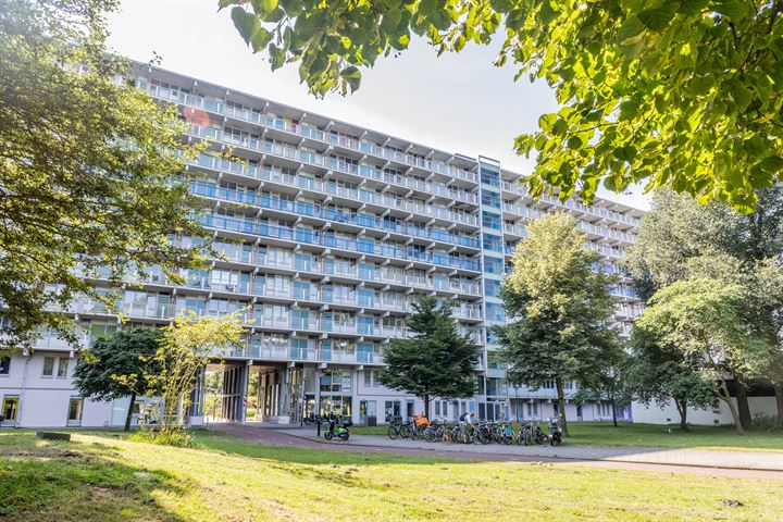 Hogevecht 186C in Amsterdam foto