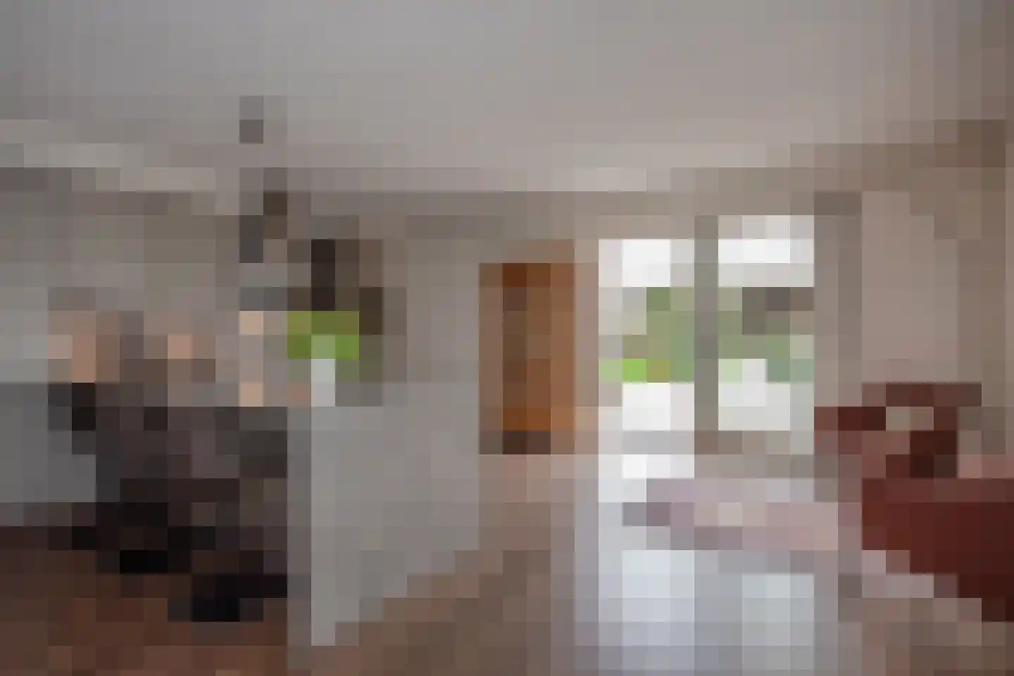 Hogeveenseweg 1 Benthuizen thumbnail 10