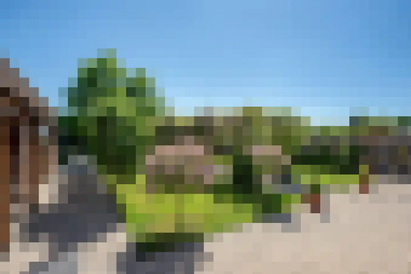Hogeveenseweg 1 Benthuizen thumbnail 11