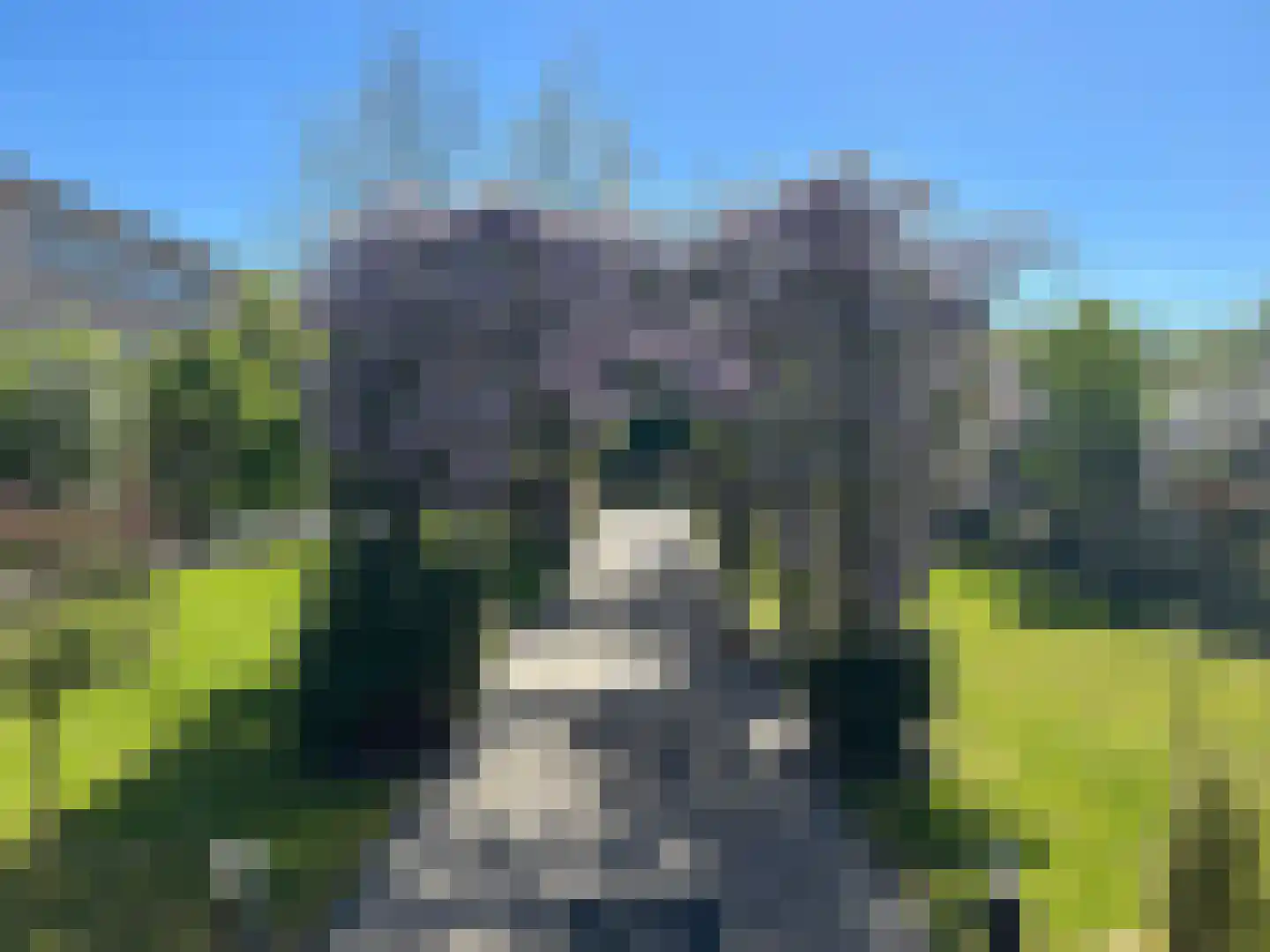 Hogeveenseweg 1 Benthuizen thumbnail 12