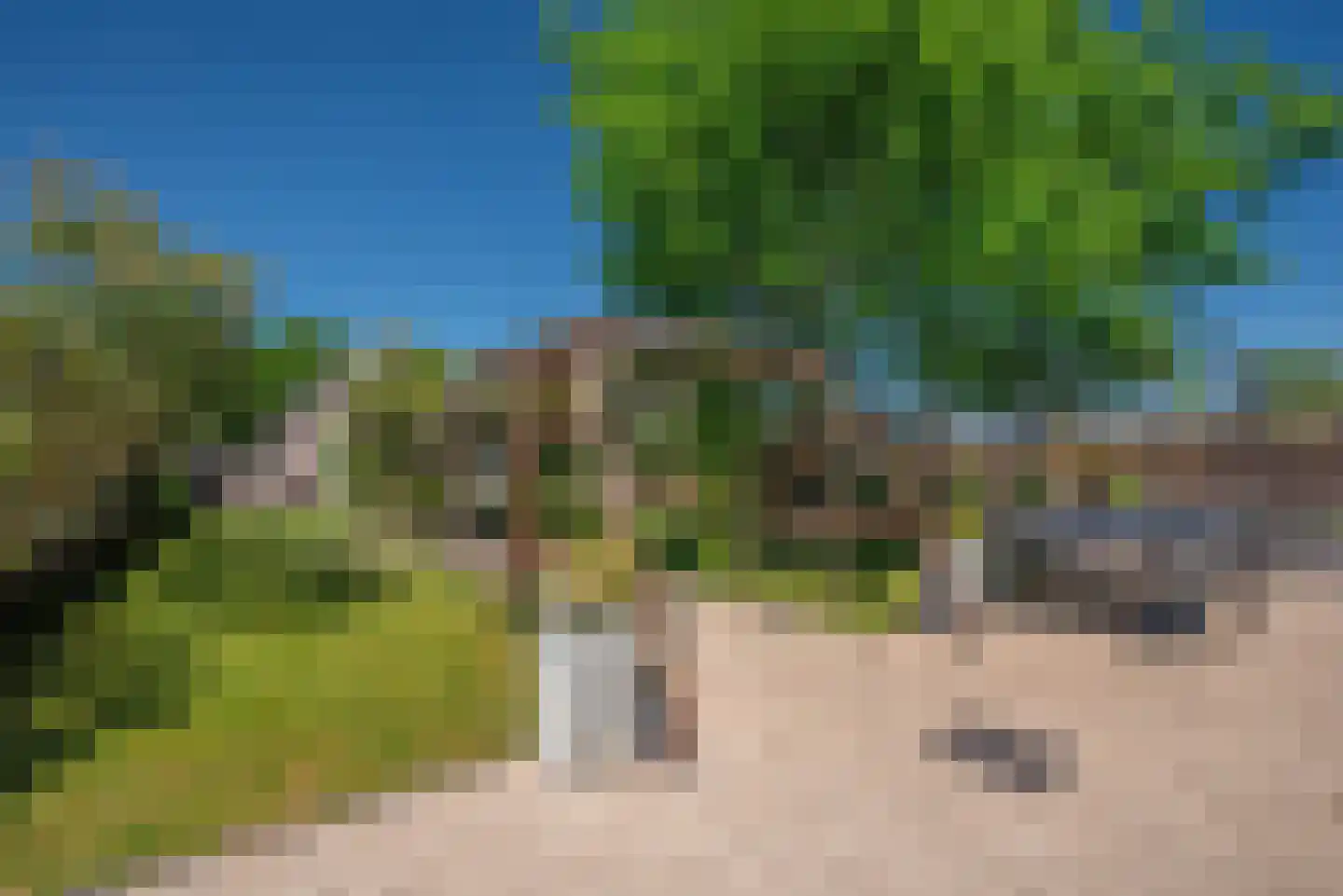 Hogeveenseweg 1 Benthuizen thumbnail 14