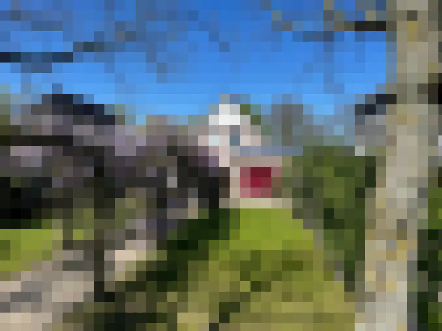 Hogeveenseweg 1 Benthuizen thumbnail 16
