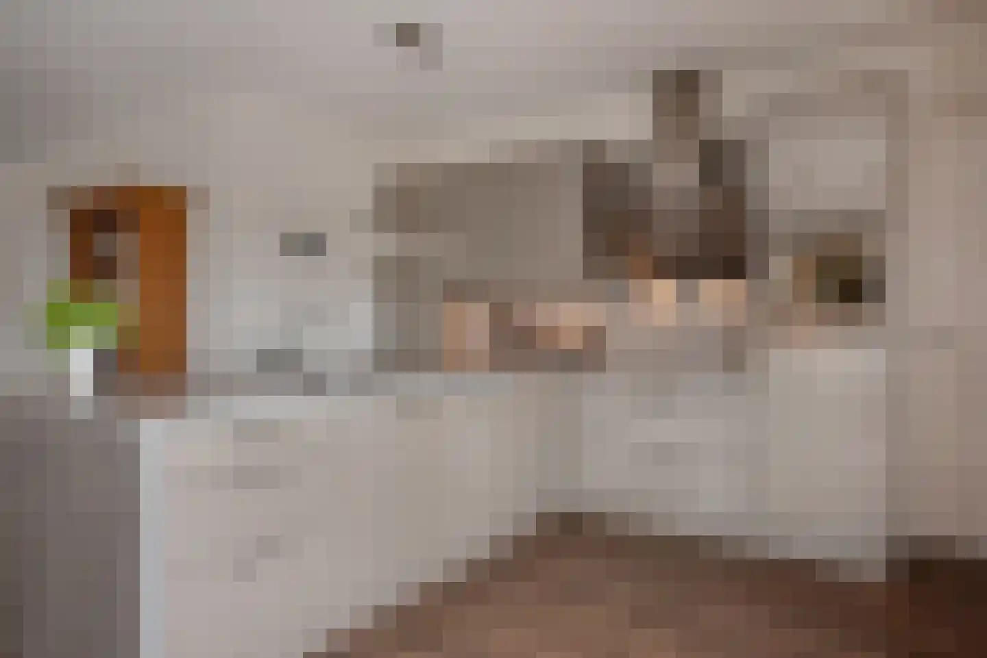 Hogeveenseweg 1 Benthuizen thumbnail 22