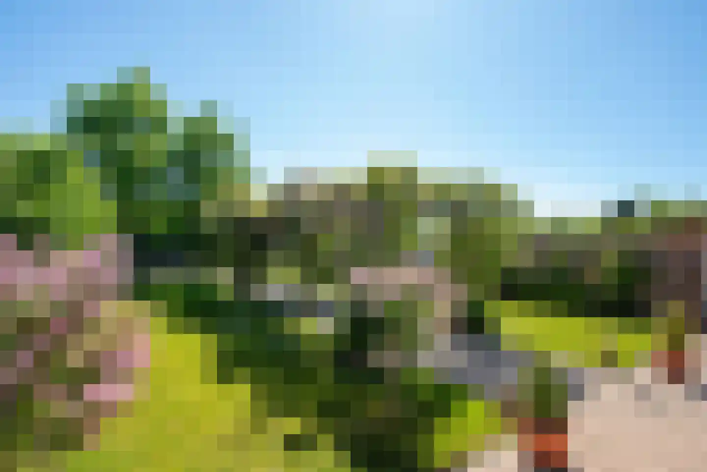 Hogeveenseweg 1 Benthuizen thumbnail 24