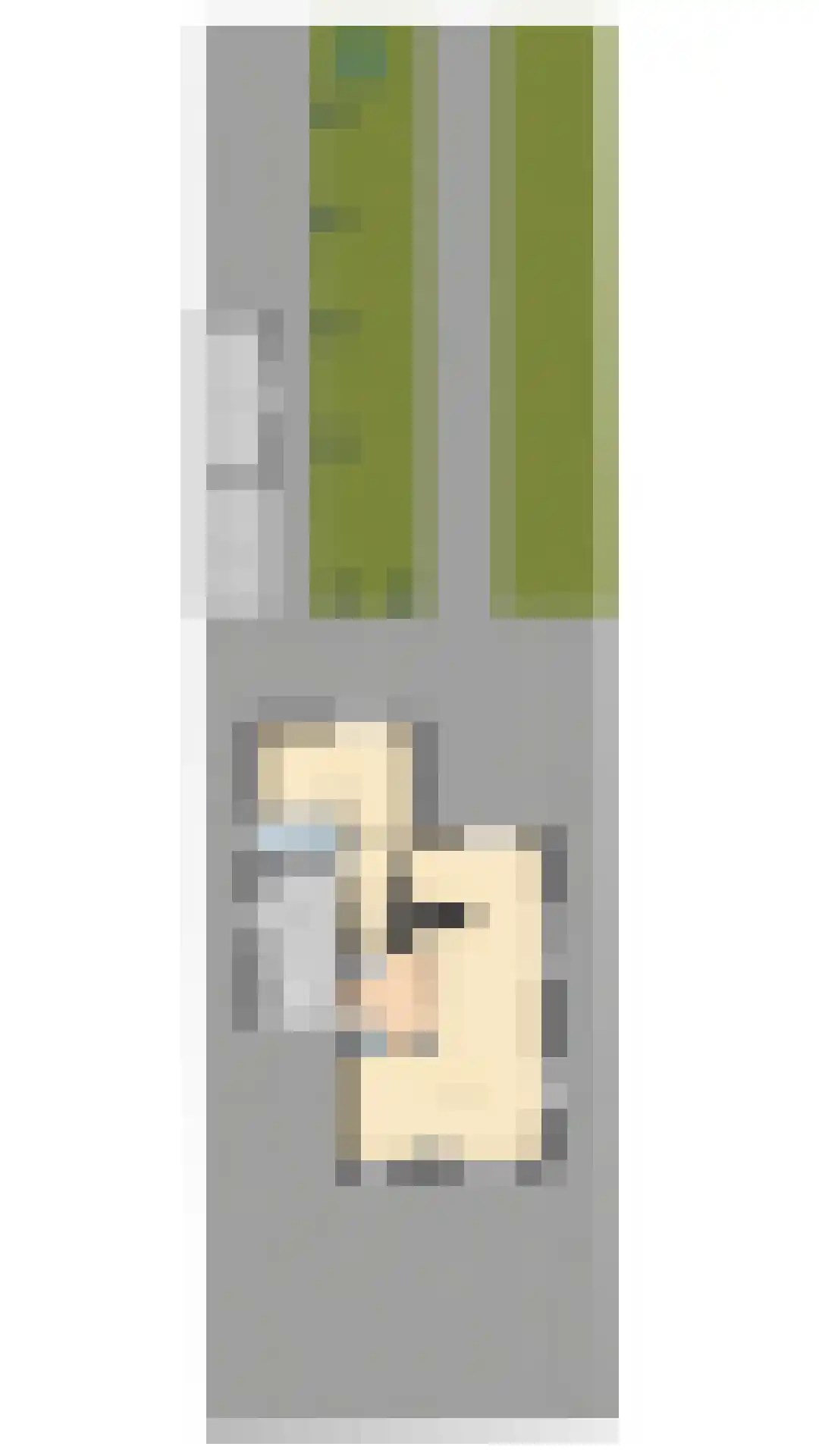Hogeveenseweg 1 Benthuizen thumbnail 35
