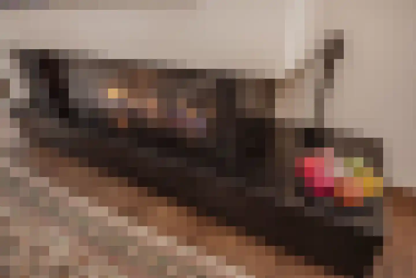 Hogeveenseweg 1 Benthuizen thumbnail 9