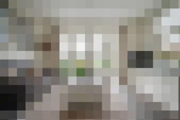 Hogeveenseweg 33 Benthuizen thumbnail 13