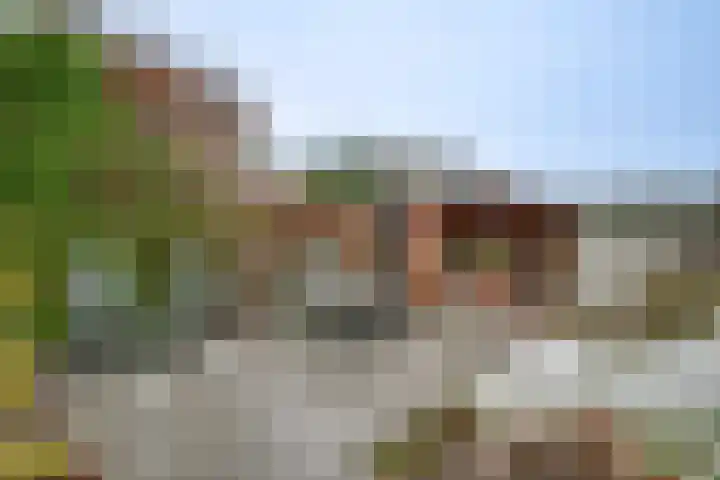 Hogeveenseweg 33 Benthuizen thumbnail 39