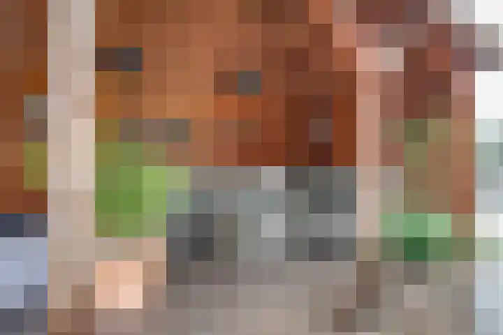 Hogeveenseweg 33 Benthuizen thumbnail 4