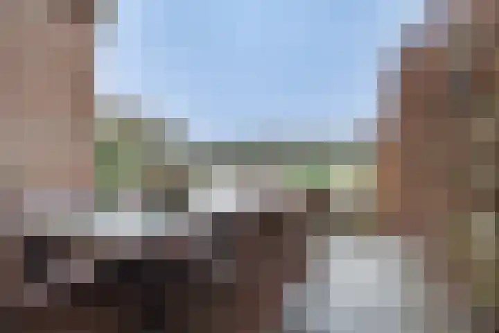 Hogeveenseweg 33 Benthuizen thumbnail 45
