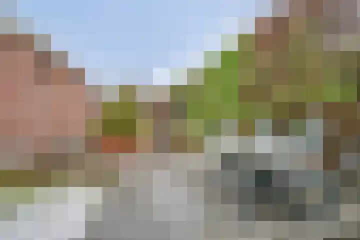 Hogeveenseweg 33 Benthuizen thumbnail 48