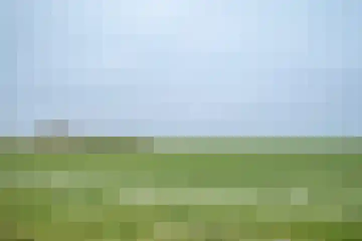 Hogeveenseweg 33 Benthuizen thumbnail 54