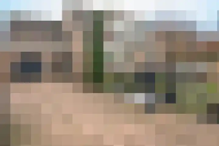 Hogeveenseweg 33 Benthuizen thumbnail 6