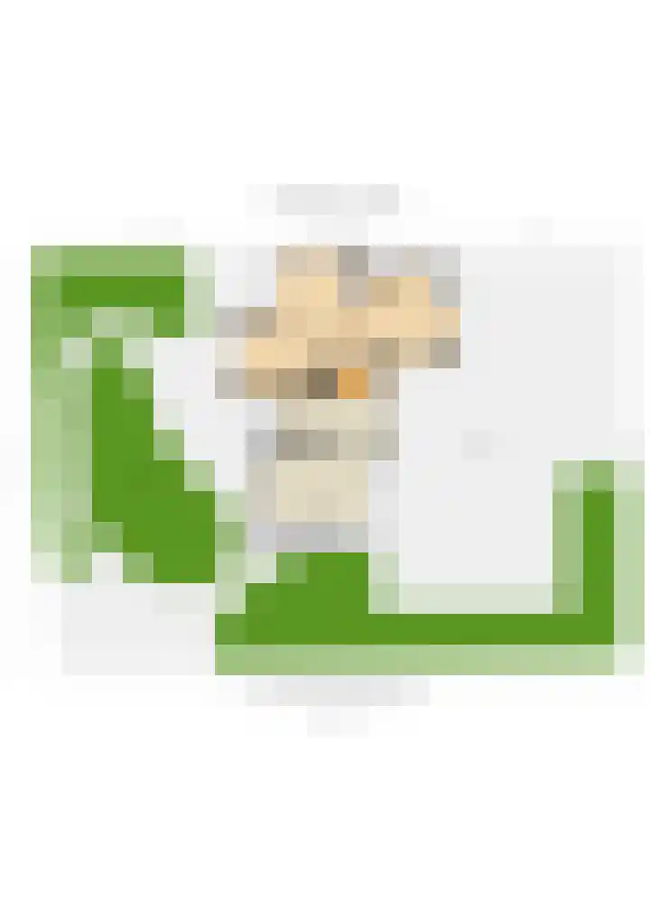 Hogeveenseweg 33 Benthuizen thumbnail 60