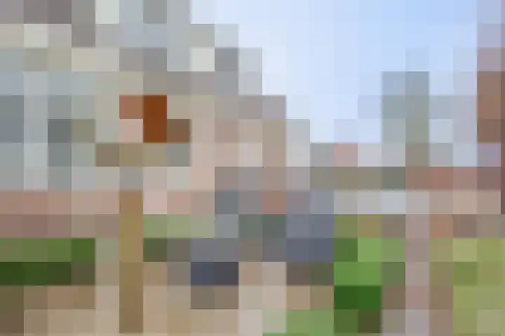 Hogeveenseweg 33 Benthuizen thumbnail 8