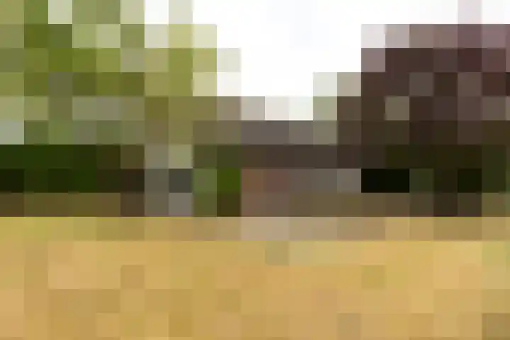 Hogeveenseweg 5 Benthuizen thumbnail 34