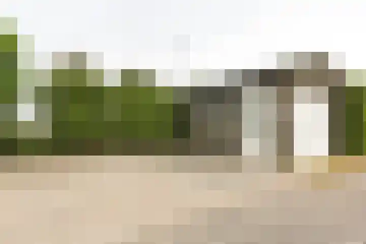 Hogeveenseweg 5 Benthuizen thumbnail 37