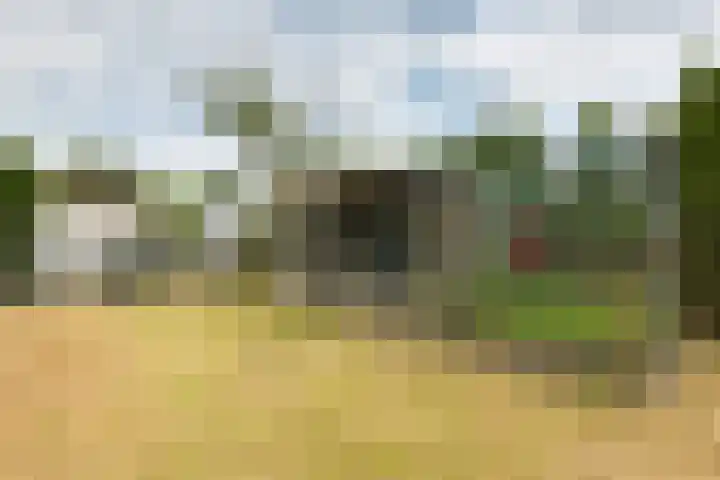 Hogeveenseweg 5 Benthuizen thumbnail 38