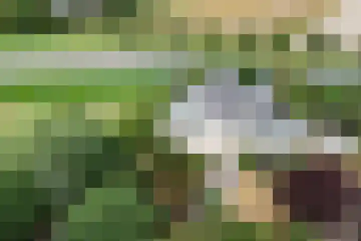Hogeveenseweg 5 Benthuizen thumbnail 4