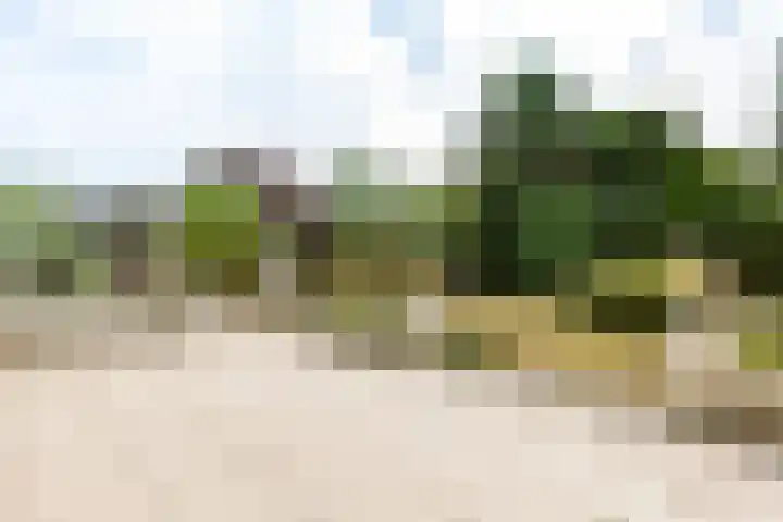 Hogeveenseweg 5 Benthuizen thumbnail 41