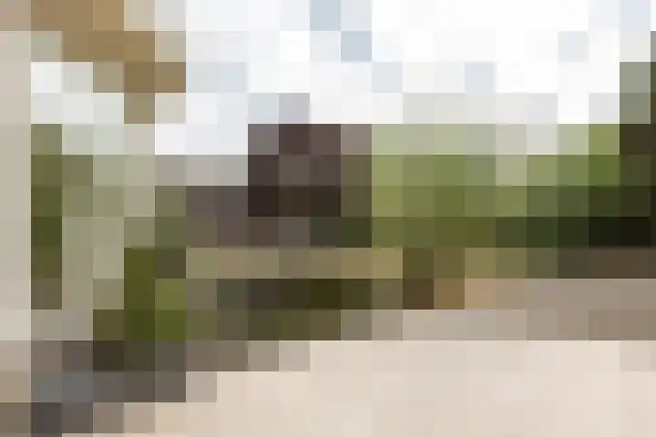 Hogeveenseweg 5 Benthuizen thumbnail 42
