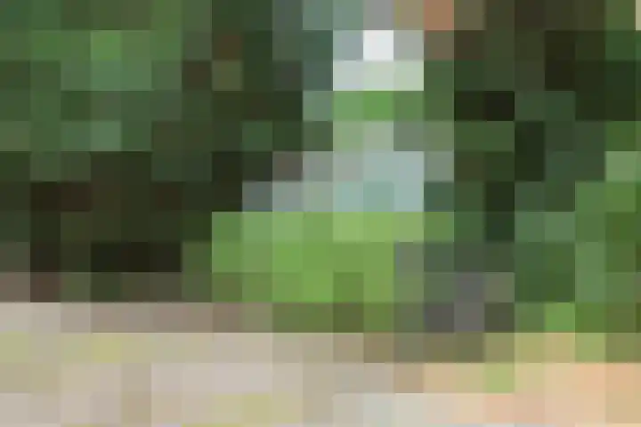 Hogeveenseweg 5 Benthuizen thumbnail 43