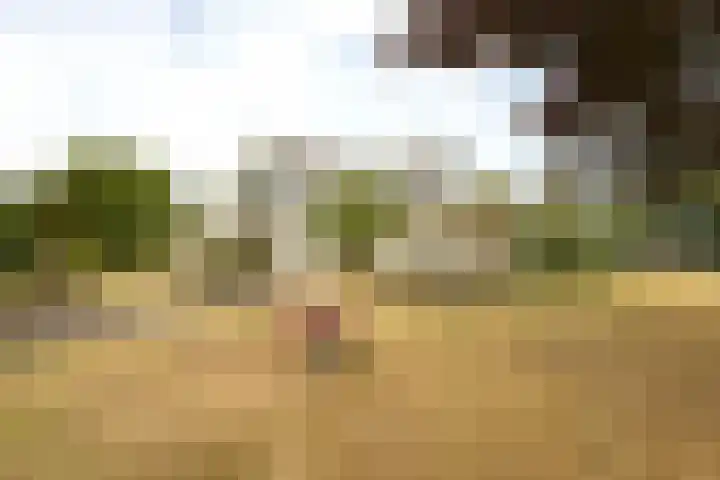Hogeveenseweg 5 Benthuizen thumbnail 44