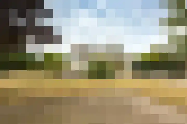 Hogeveenseweg 5 Benthuizen thumbnail 46