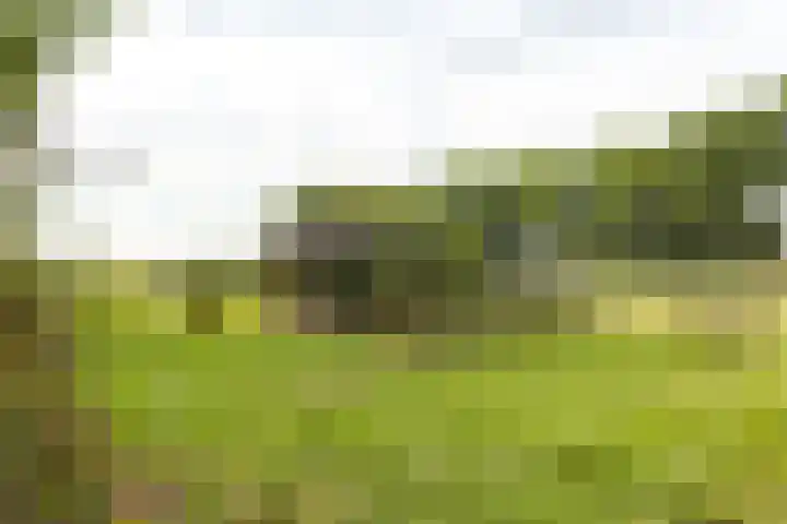 Hogeveenseweg 5 Benthuizen thumbnail 47