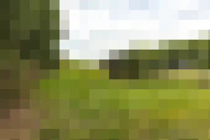 Hogeveenseweg 5 Benthuizen thumbnail 48