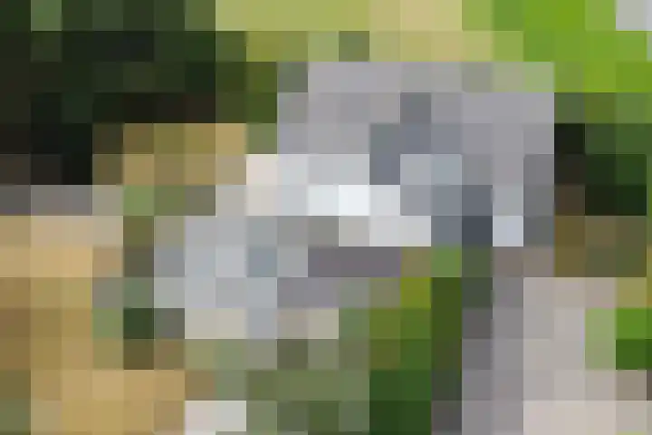Hogeveenseweg 5 Benthuizen thumbnail 5