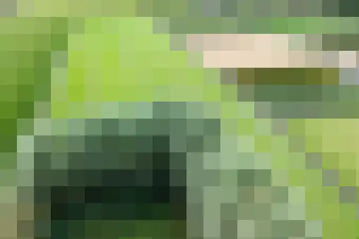 Hogeveenseweg 5 Benthuizen thumbnail 52