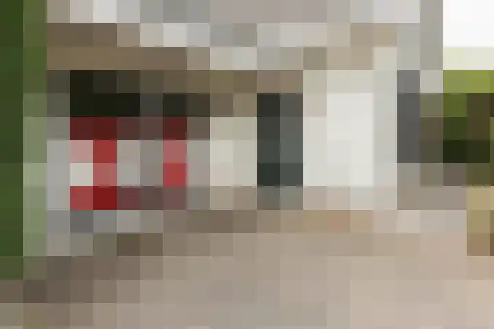 Hogeveenseweg 5 Benthuizen thumbnail 6