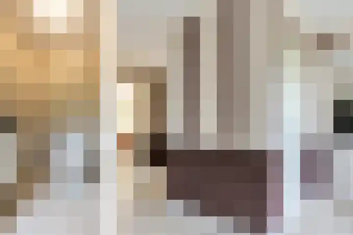 Hogeveenseweg 5 Benthuizen thumbnail 8