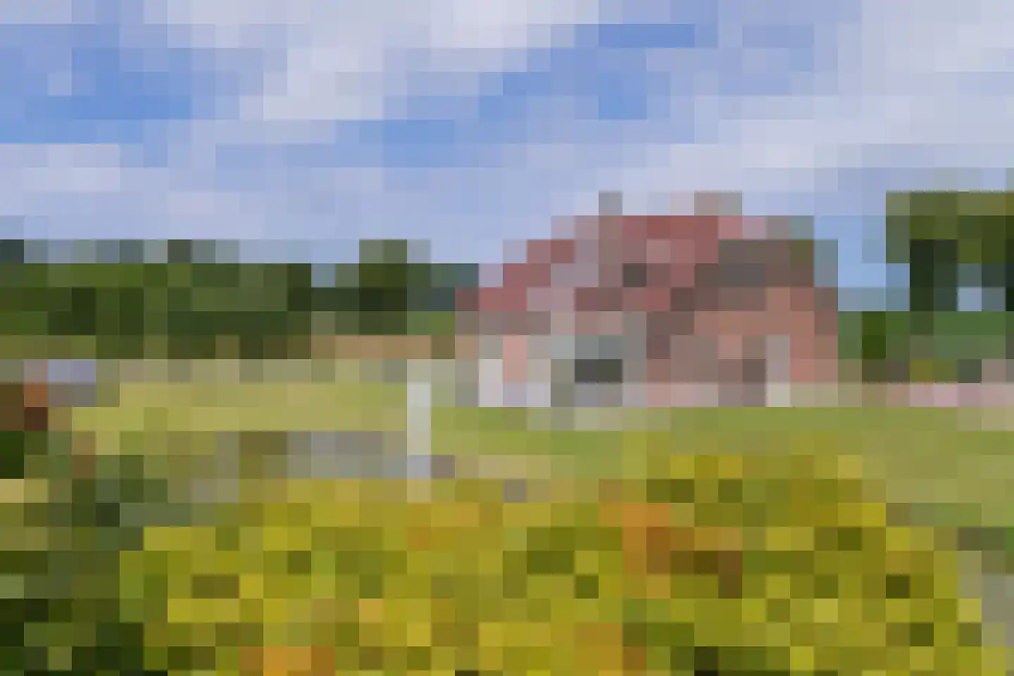 Hogeveenseweg 89 Benthuizen thumbnail 46