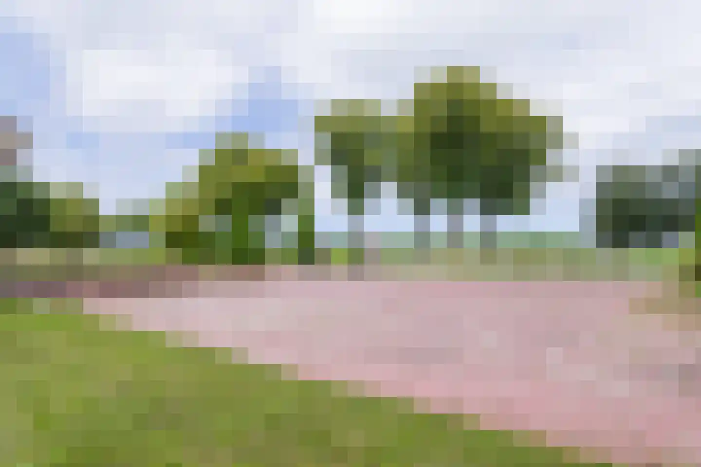 Hogeveenseweg 89 Benthuizen thumbnail 49