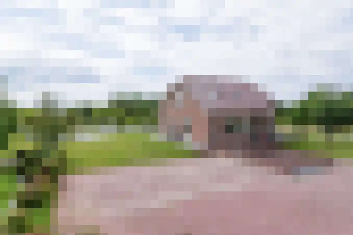 Hogeveenseweg 89 Benthuizen thumbnail 50