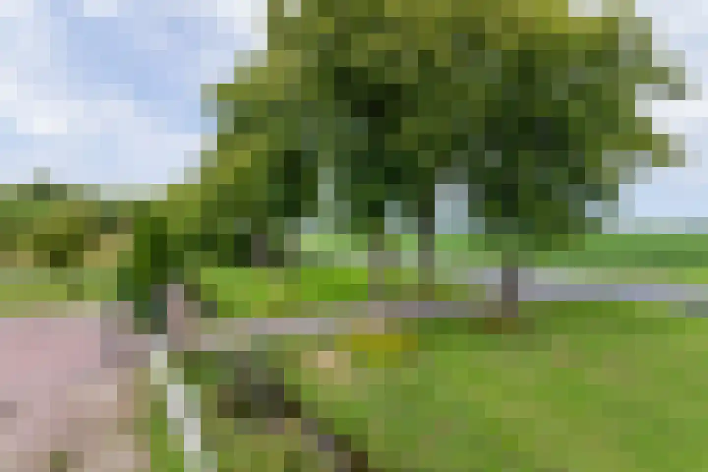 Hogeveenseweg 89 Benthuizen thumbnail 51