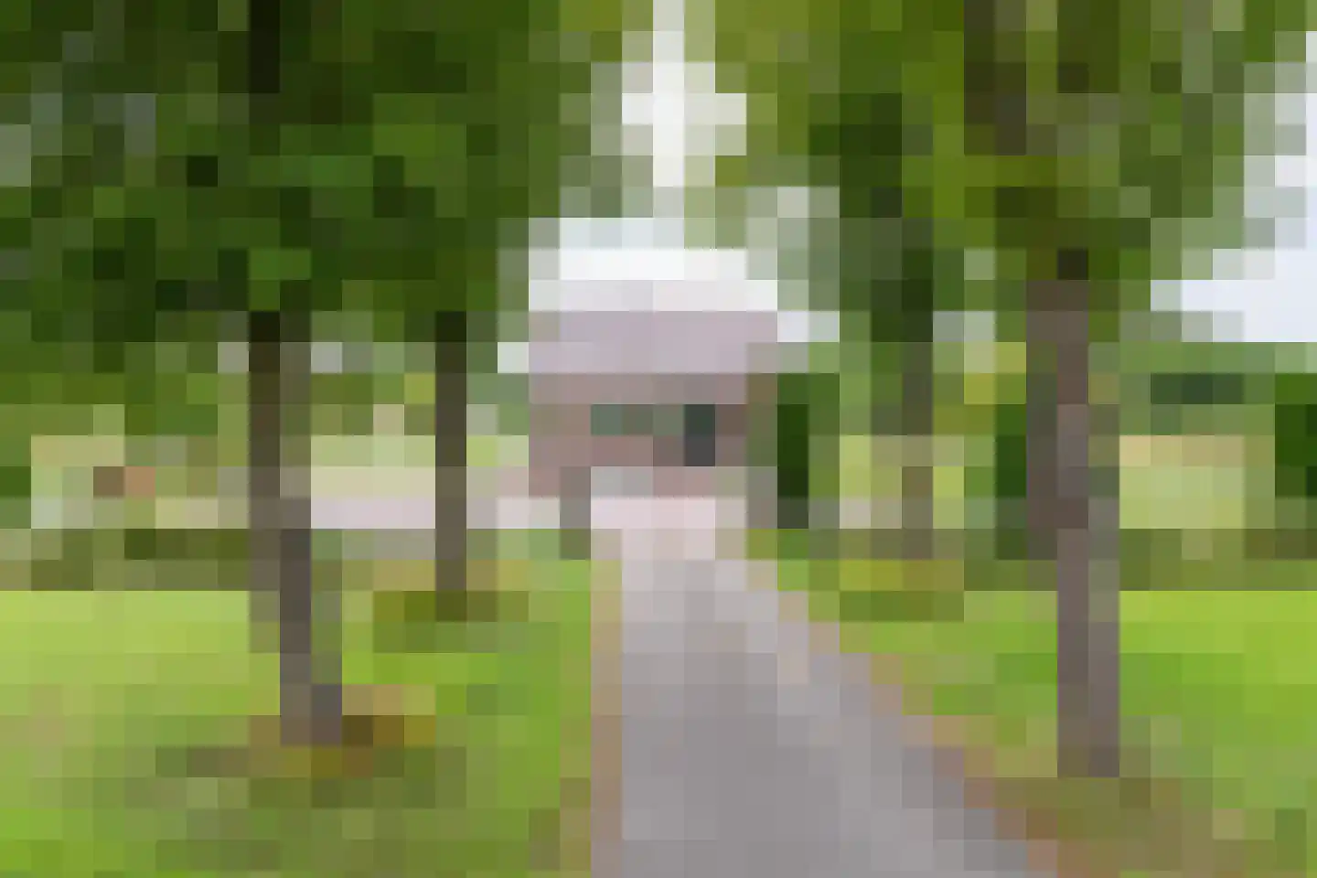 Hogeveenseweg 89 Benthuizen thumbnail 52