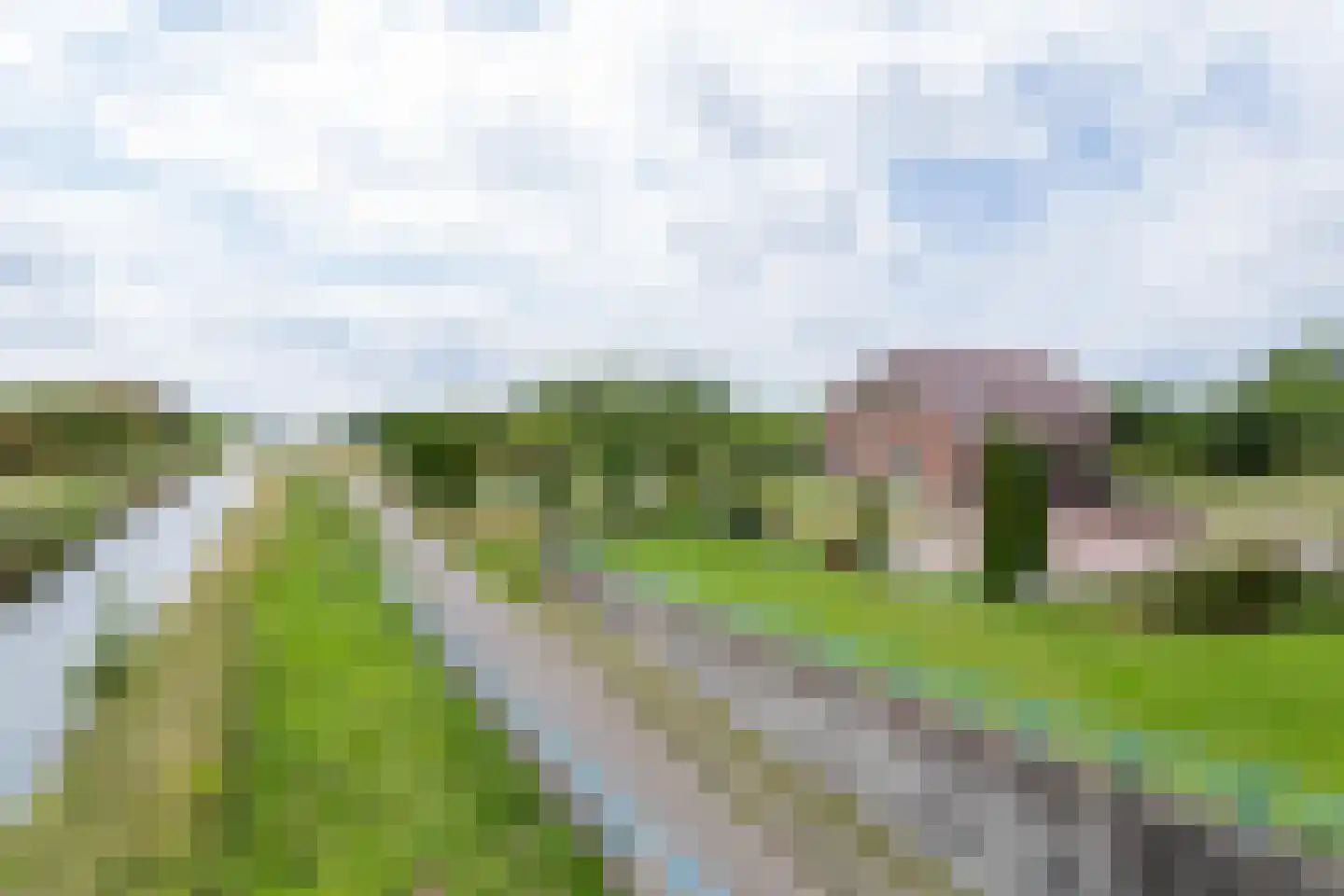 Hogeveenseweg 89 Benthuizen thumbnail 54