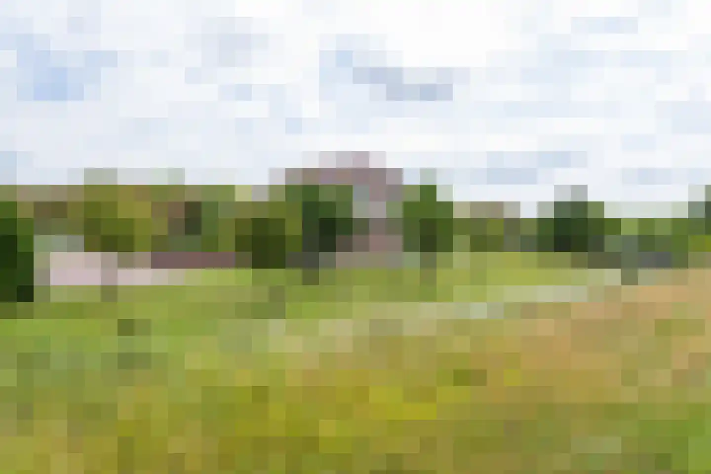 Hogeveenseweg 89 Benthuizen thumbnail 55
