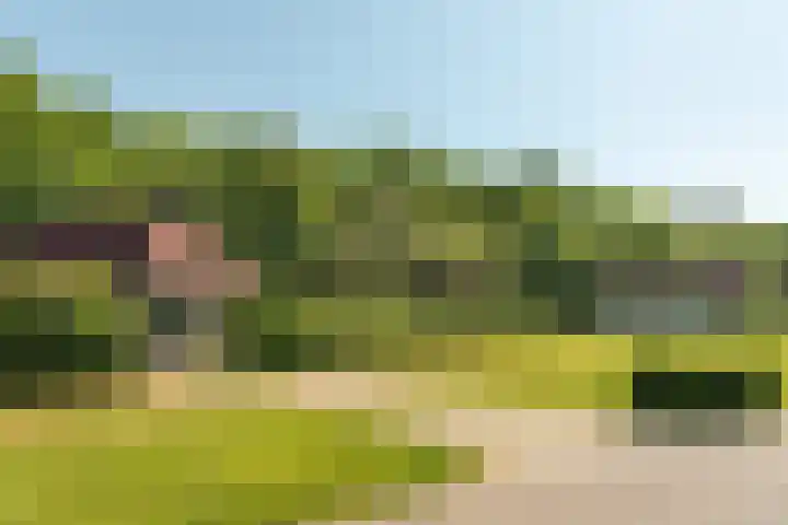 Hogeveensweg 1 A 1 Bontebok thumbnail 11