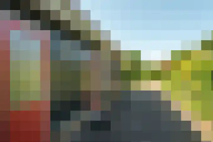 Hogeveensweg 1 A 1 Bontebok thumbnail 14