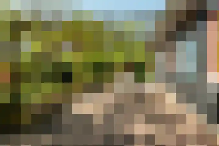 Hogeveensweg 1 A 1 Bontebok thumbnail 15