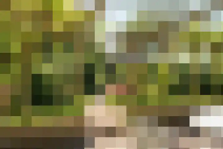 Hogeveensweg 1 A 1 Bontebok thumbnail 16