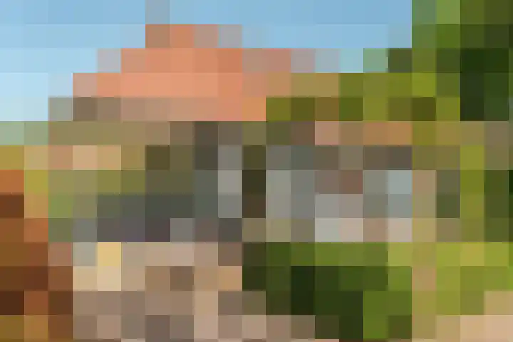 Hogeveensweg 1 A 1 Bontebok thumbnail 17